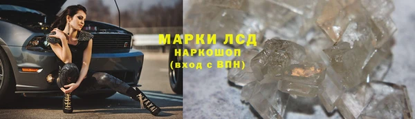 стафф Горнозаводск