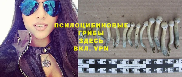 mix Горняк