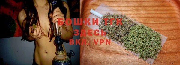 стафф Горнозаводск