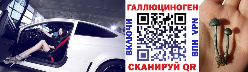 Псилоцибиновые грибы Magic Shrooms  площадка официальный сайт  Инта 